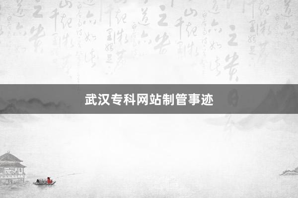 武汉专科网站制管事迹