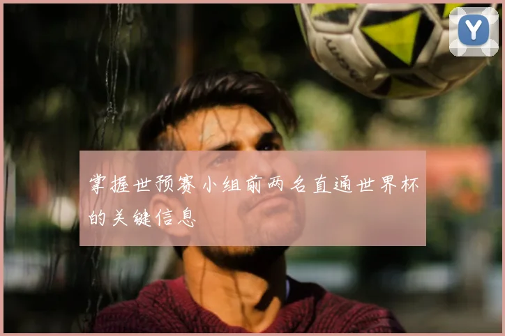 掌握世预赛小组前两名直通世界杯的关键信息