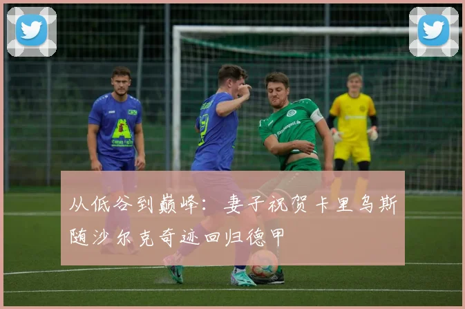 从低谷到巅峰：妻子祝贺卡里乌斯随沙尔克奇迹回归德甲